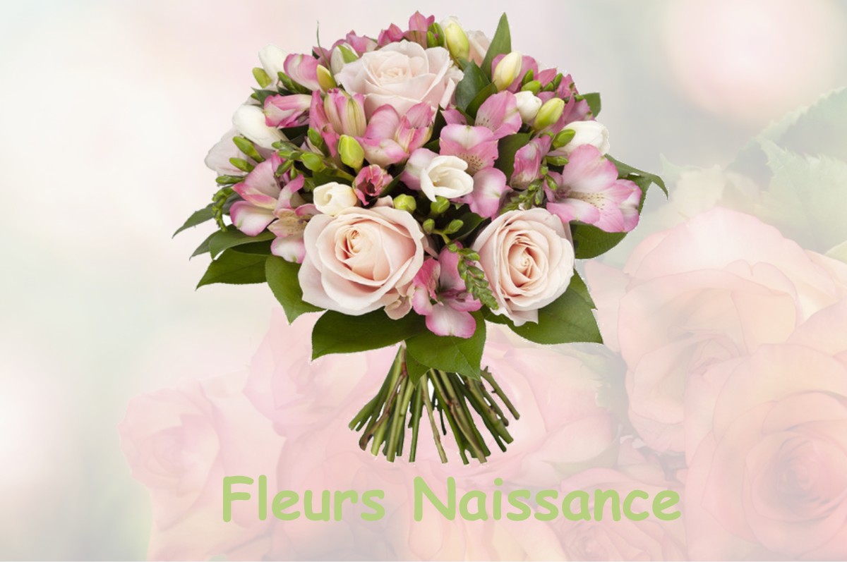 fleurs naissance SAINT-MAURICE-SUR-ADOUR